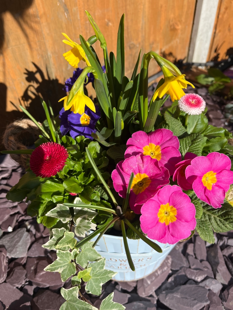 Spring planter