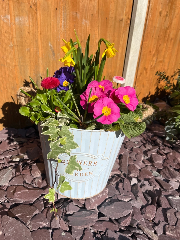 Spring planter