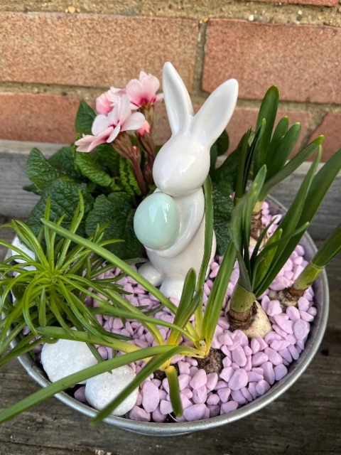 daisy bowl planter