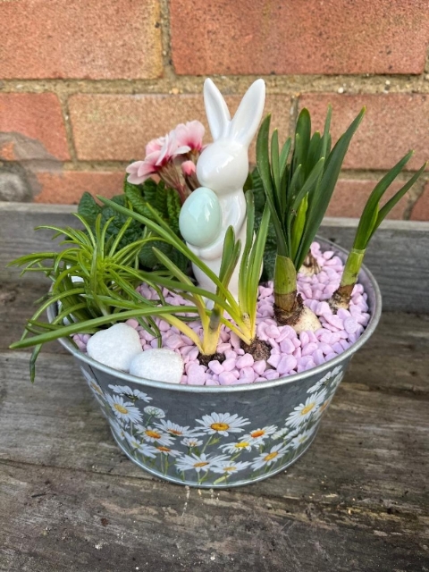 daisy bowl planter