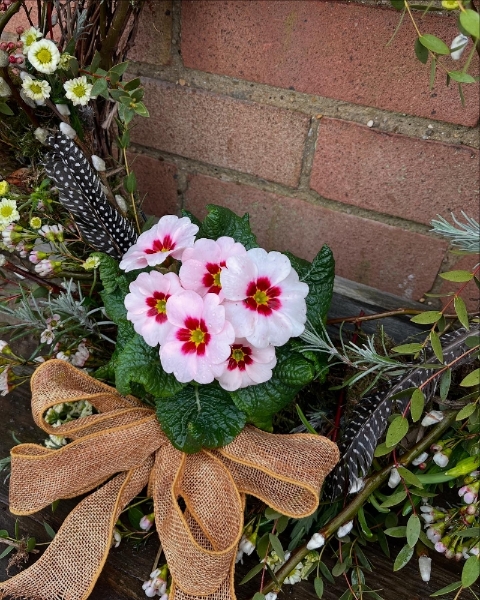 Living spring wreath workshop 22nd March